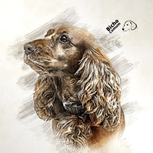 Adestramento de cães pequenos