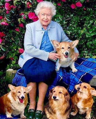 Os cães da rainha Elizabeth II
