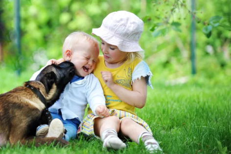 Como preparar seu pet para a chegada de um bebê