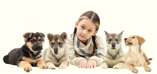 Dicas para a introdução de novos pets na casa