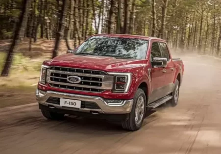 Bruta PicUp F150