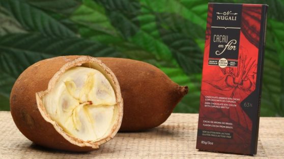 O Sabor Exótico do Chocolate de Cupuaçu